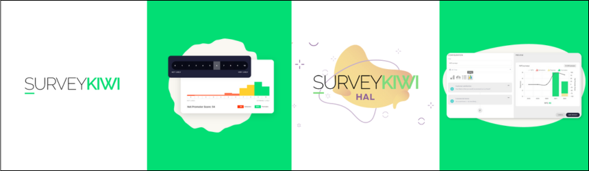 SurveyKiwi