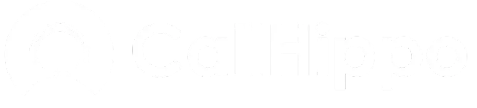 CallHippo Case Study